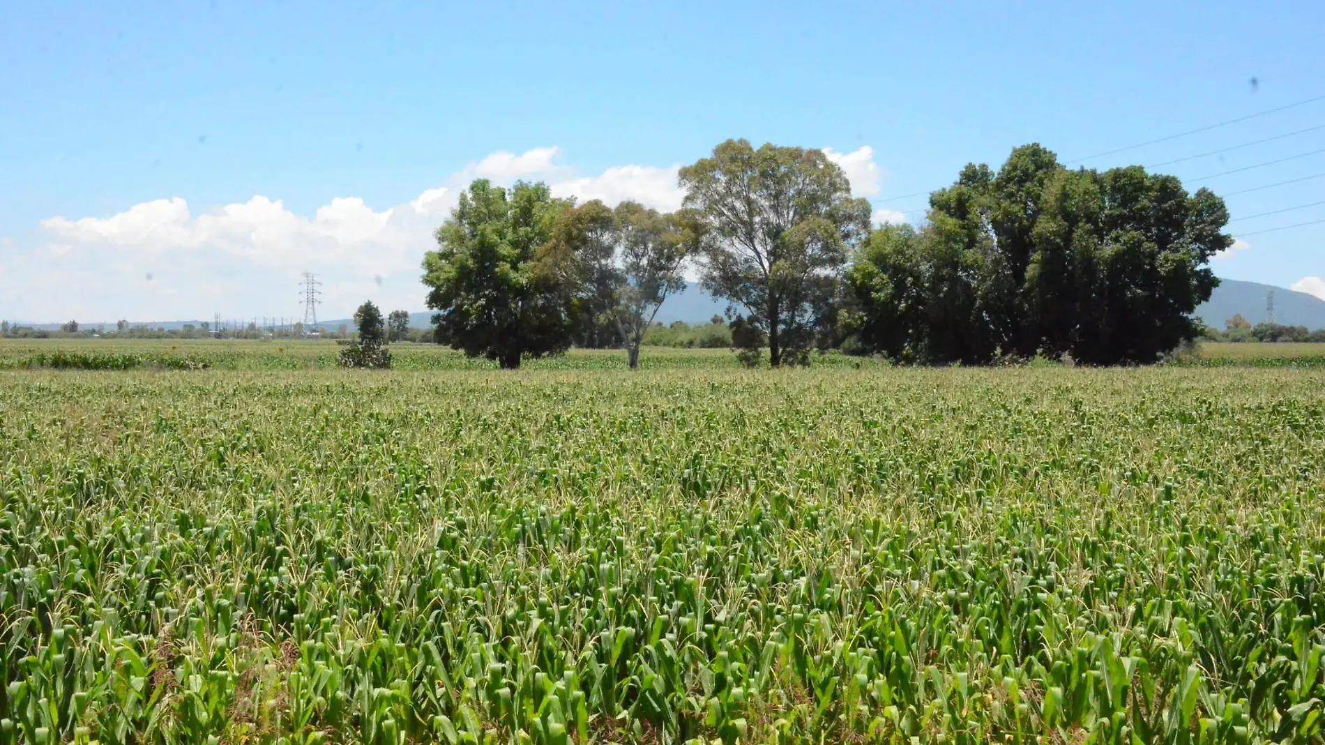 SEGALMEX HABILITÓ UNA BODEGA